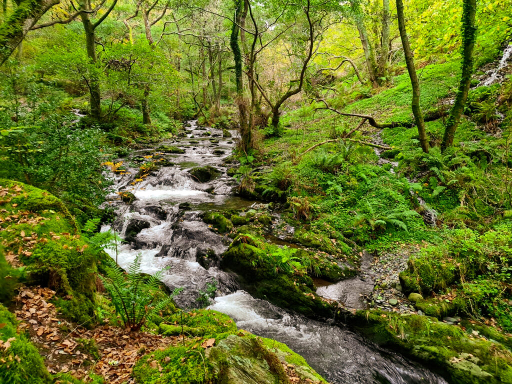 Dolgoch Falls