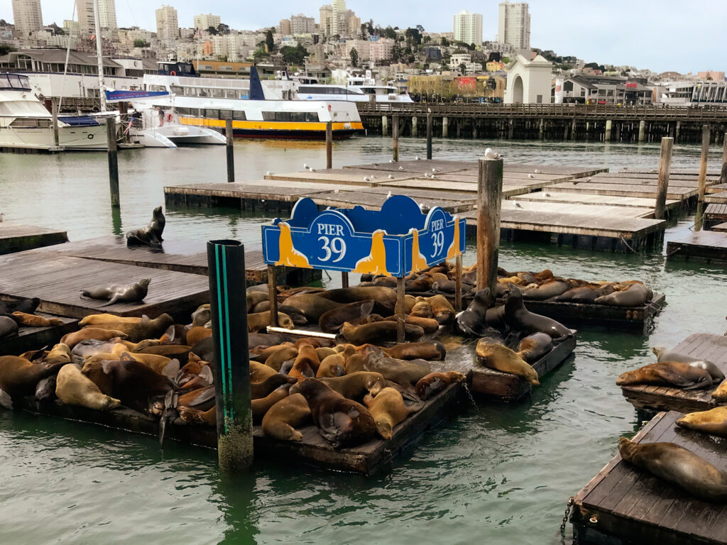 Pier 39