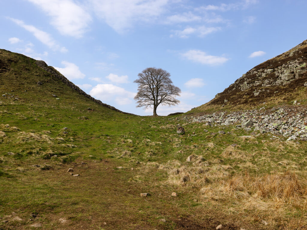 Sycamore Gap